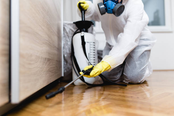 Pest Prevention Services in Decorah, IA
