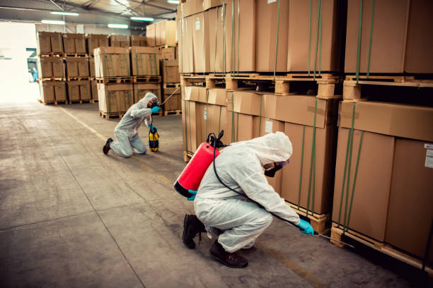 Best Best Pest Control Companies  in Decorah, IA