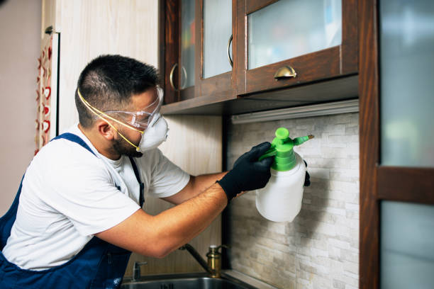 Best Pest Prevention Services  in Decorah, IA
