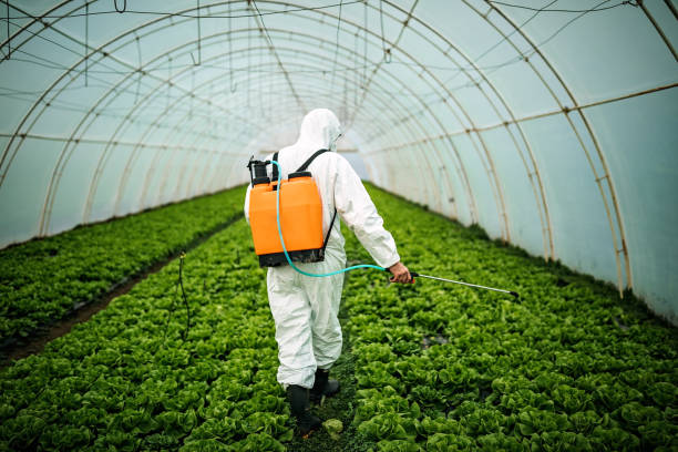 Best Pest Inspection Near Me  in Decorah, IA