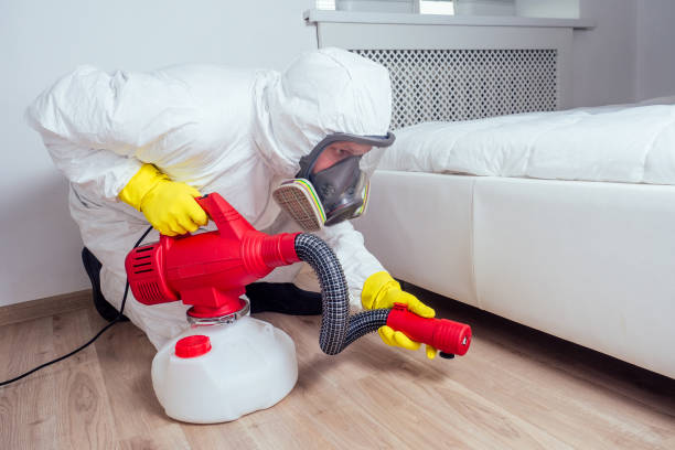 Trusted Decorah, IA Pest Control Experts