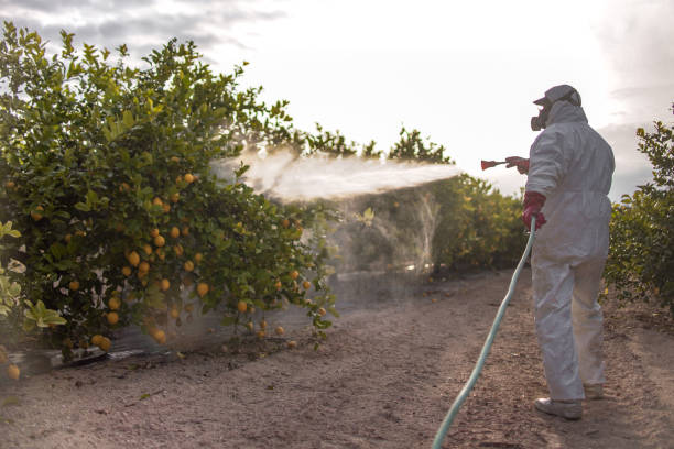 Best Pest Removal Services  in Decorah, IA