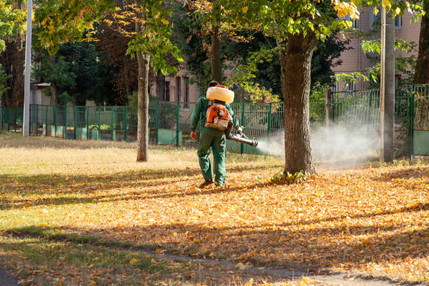 Best Exterminator Services  in Decorah, IA