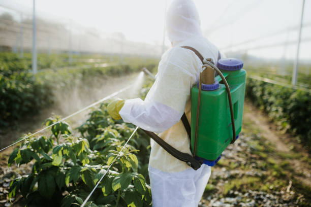 Best Termite Control Services  in Decorah, IA